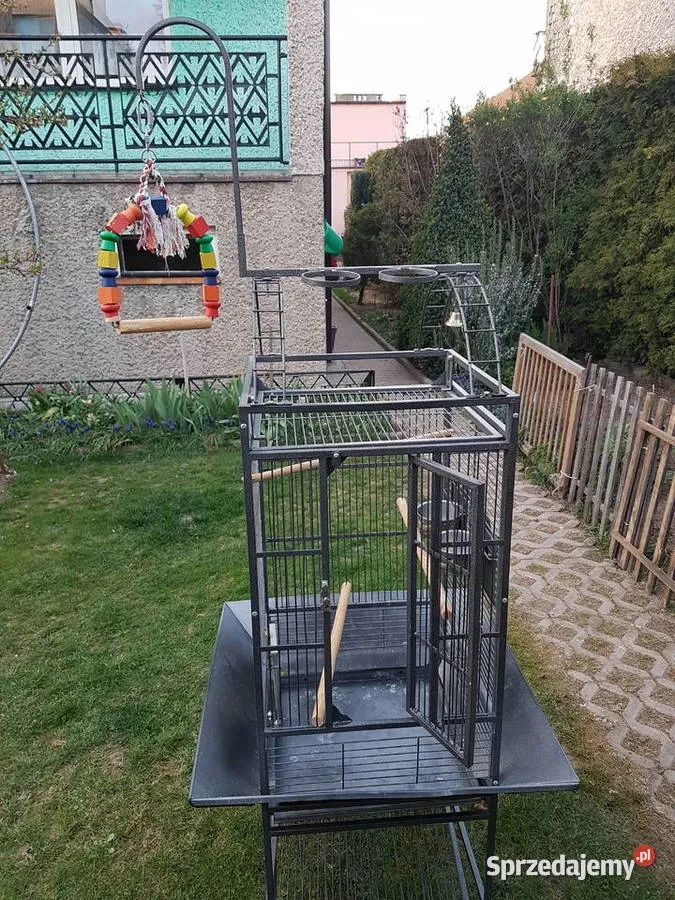 Ile kosztuje klatka dla papugi? Ceny, rodzaje i porady zakupowe