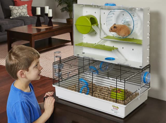 Najlepsza klatka dla chomika dżungarskiego: wymiary i wyposażenie